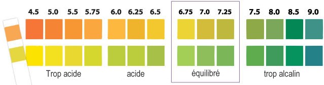 Le niveau de pH de l'eau de piscine