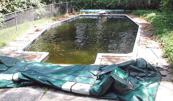 L'eau verte de la piscine est fantastique !